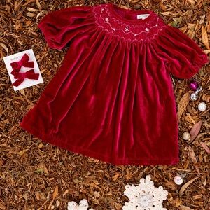 NWT Wild Wawa Burgundy Velvet Dress with Embroidered Details